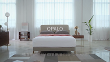 ACE OPALO 床垫广告[韩国]