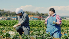 Aflac 保险广告 周末农业篇 日本2020