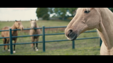 网络-ATG 赛马网站广告 Singing Horses Putti Putti[欧美