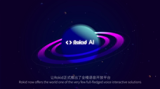 Rokid AI  智能语音平台